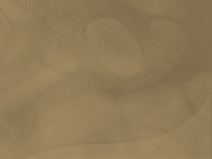 矩阵分解